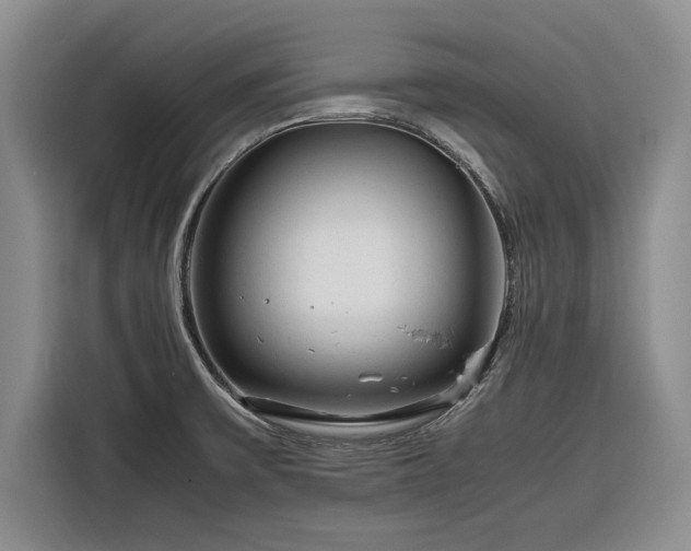 X0000116261475200912071012