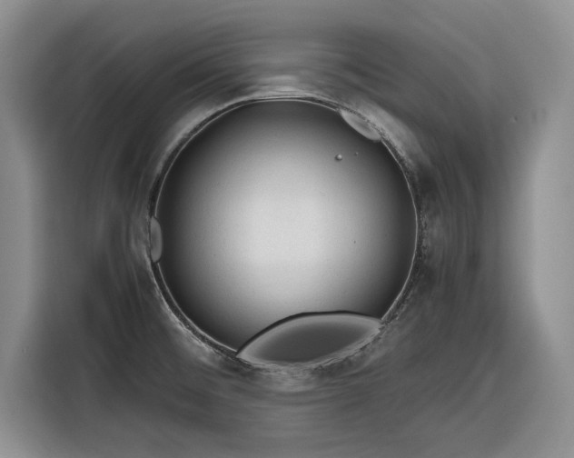 X0000116261476200912071012