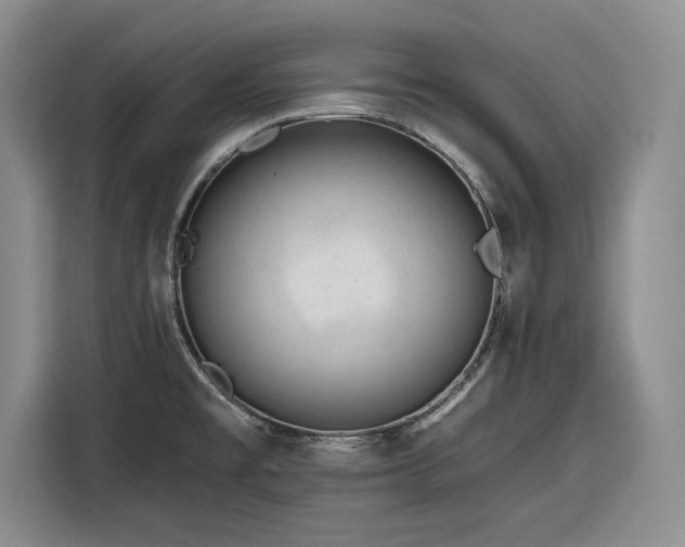 X0000116261477200912071012
