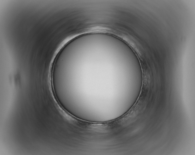 X0000116261478200912071012