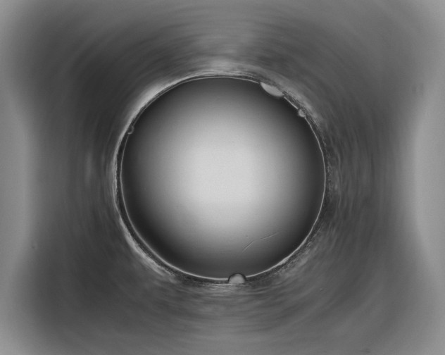 X0000116261479200912071012