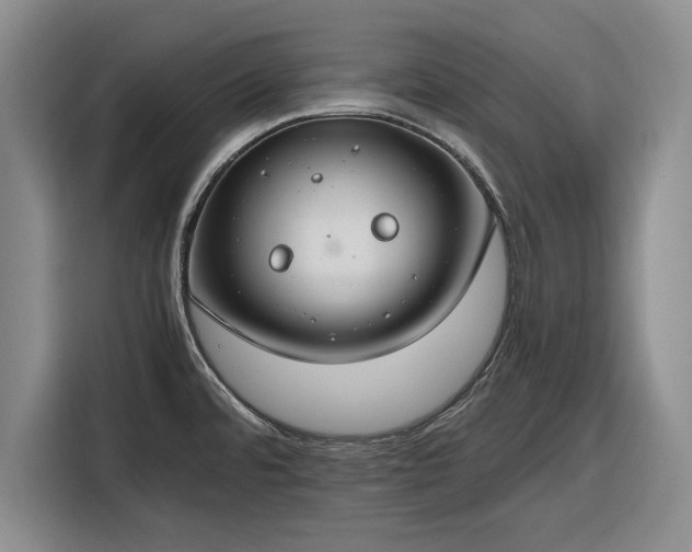 X0000116261480200912071012