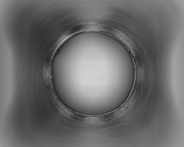 X0000116261481200912071012