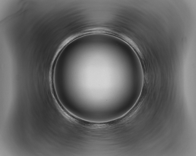 X0000116261482200912071012