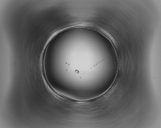 X0000116261483200912071012