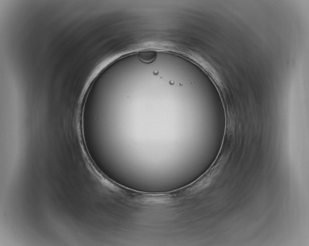 X0000116261486200912071012