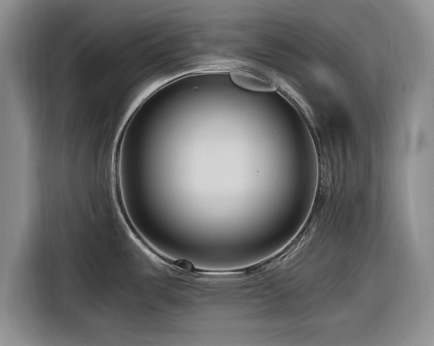 X0000116261487200912071012