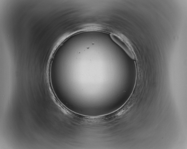 X0000116261488200912071012