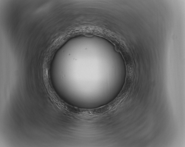X0000116261489200912071012