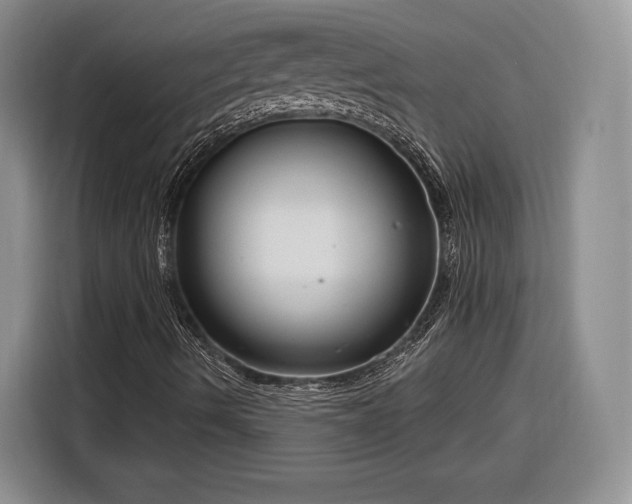 X0000116261490200912071012