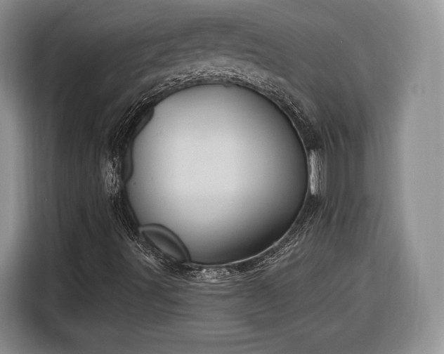 X0000116261491200912071012