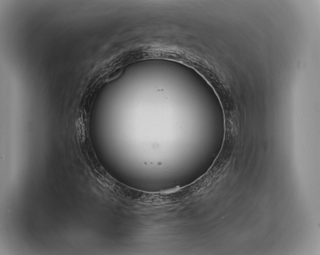 X0000116261493200912071012