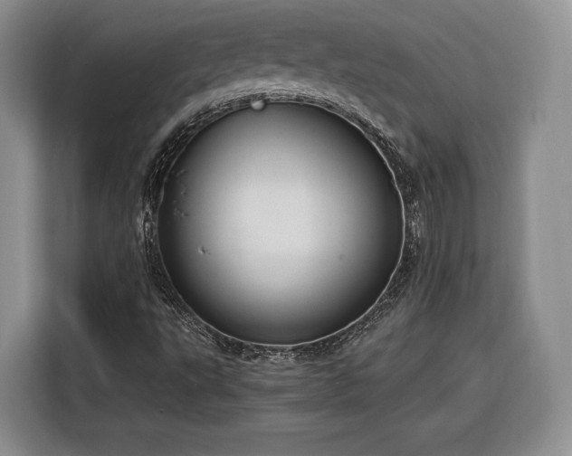 X0000116261495200912071012
