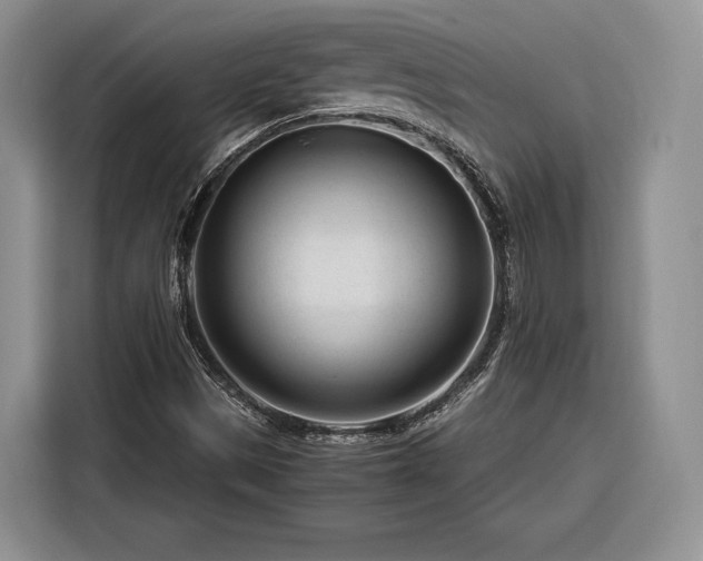 X0000116261497200912071012