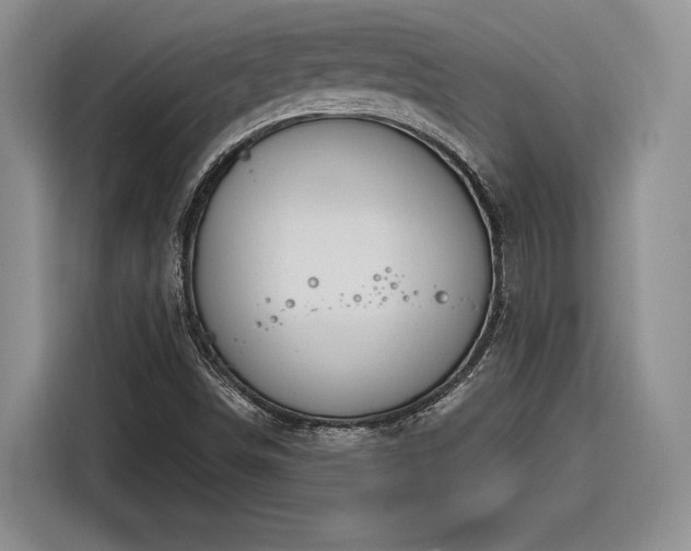 X0000116261498200912071012