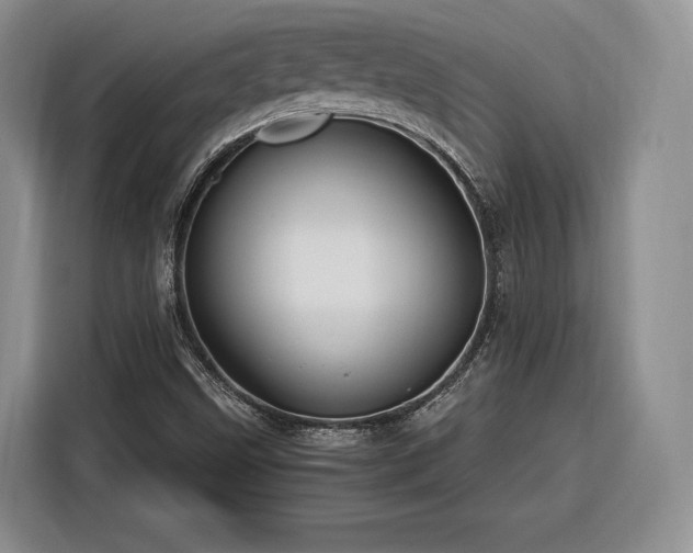 X0000116261499200912071012