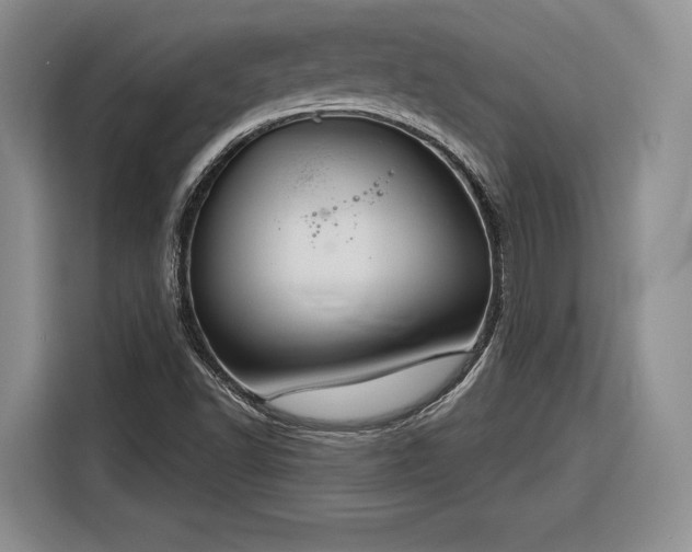 X0000116261502200912071012