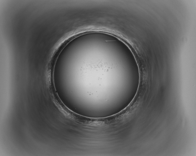 X0000116261503200912071012