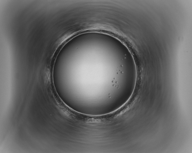X0000116261505200912071012