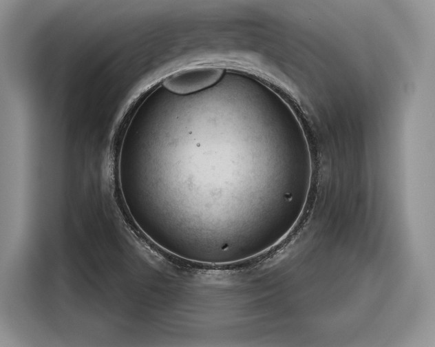 X0000116261506200912071012
