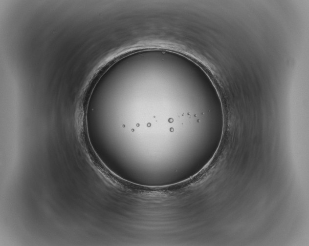X0000116261507200912071012