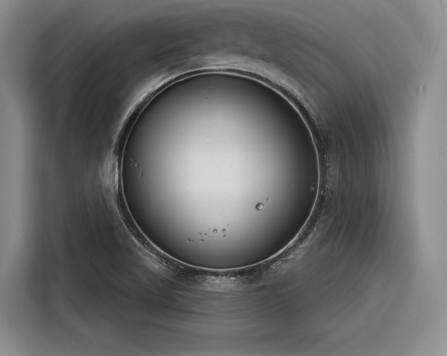 X0000116261509200912071012