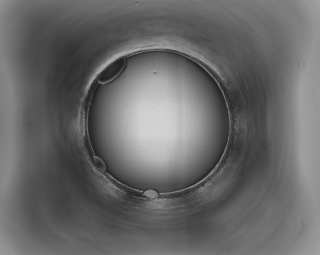 X0000116261510200912071012