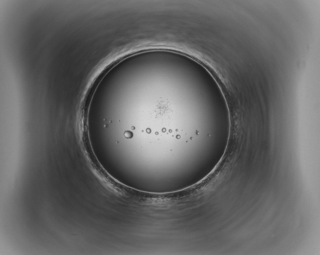 X0000116261511200912071012