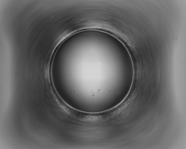 X0000116261513200912071012