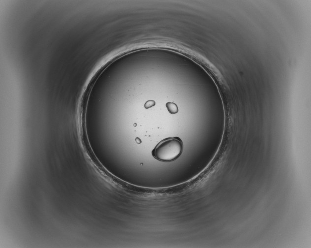 X0000116261514200912071012