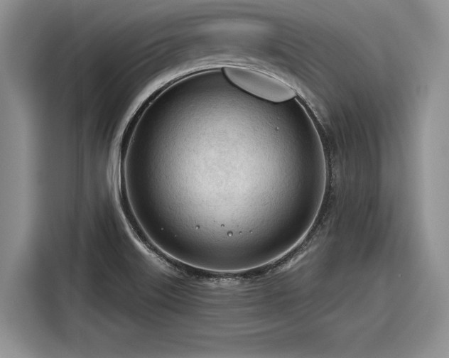 X0000116261515200912071012