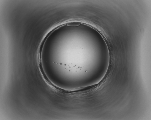 X0000116261519200912071012