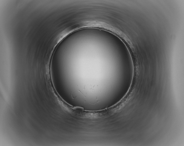 X0000116261521200912071012