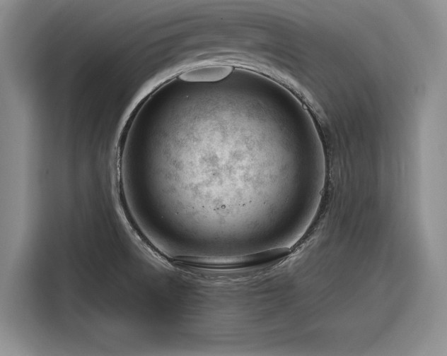 X0000116261522200912071012