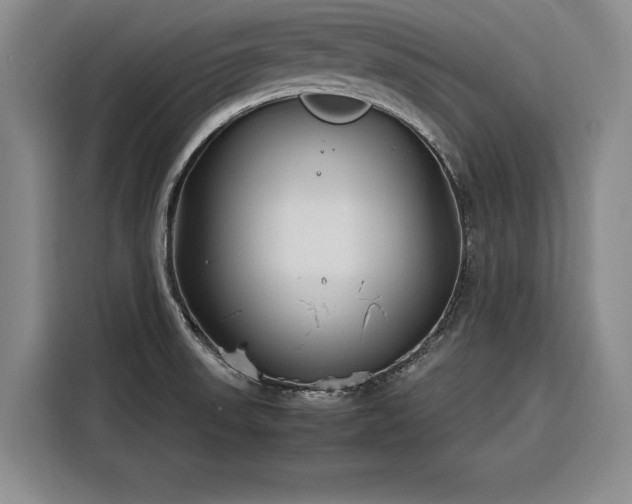 X0000116261523200912071012