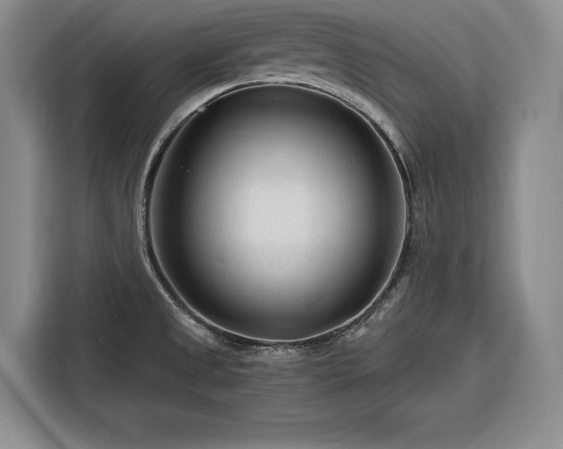 X0000116261525200912071012