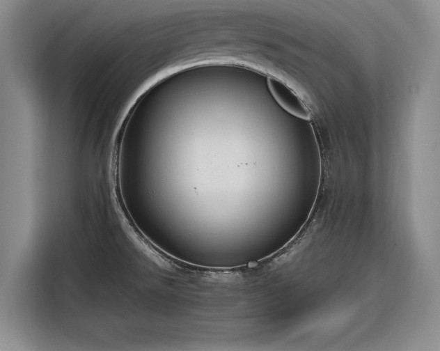 X0000116261526200912071012