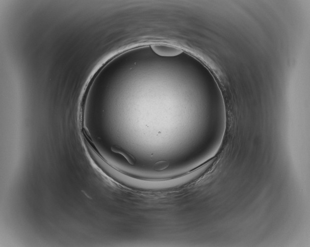 X0000116261527200912071012
