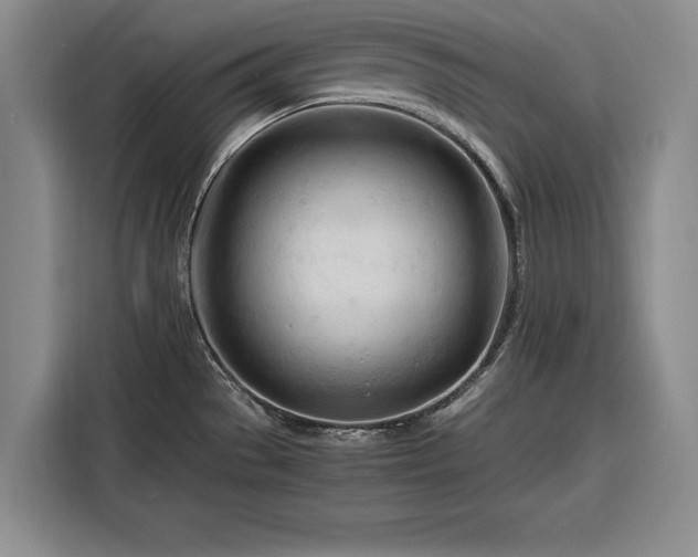 X0000116261529200912071012