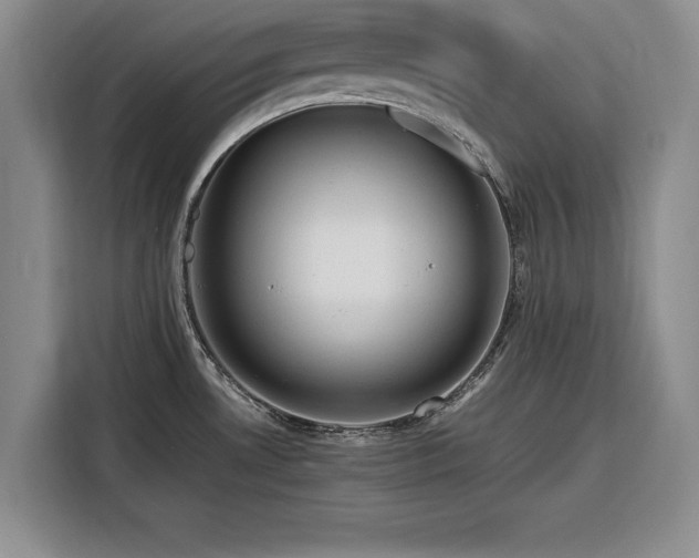 X0000116261530200912071012