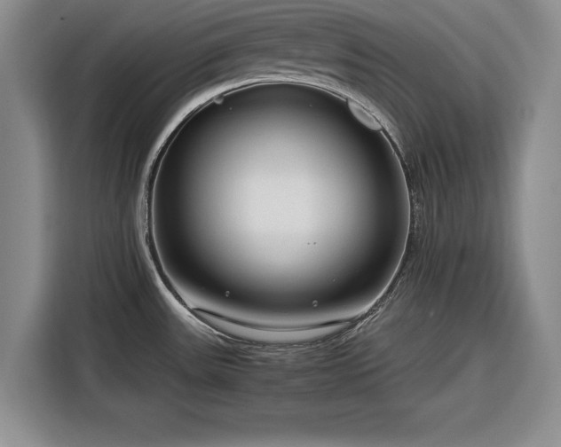 X0000116261531200912071012