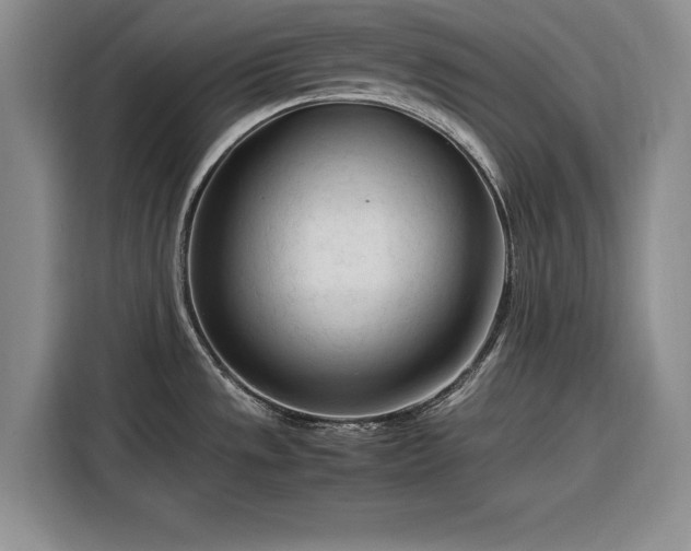 X0000116261533200912071012