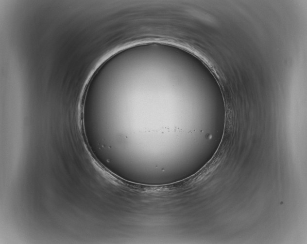 X0000116261535200912071012