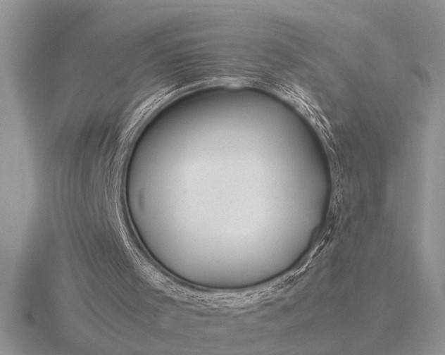 X0000116260001200912141317