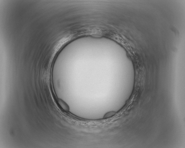 X0000116260003200912141317