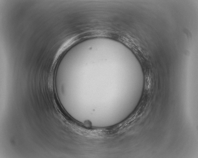 X0000116260004200912141317