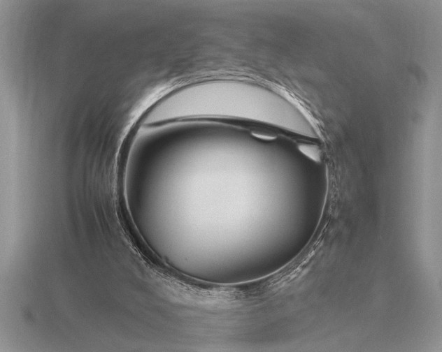 X0000116260008200912141317