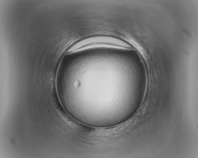 X0000116260009200912141317