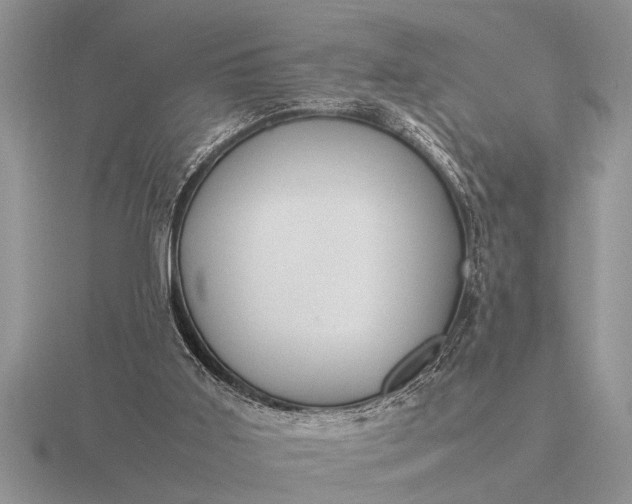 X0000116260011200912141317