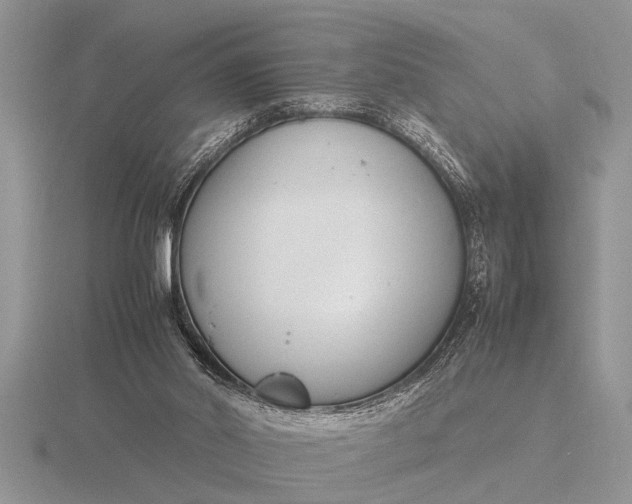 X0000116260014200912141317